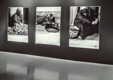 20160625_160625_HDR-1~2